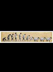 emek x: caveman to sheep evolution  "sheepie"