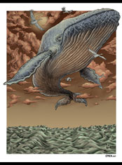 emek x: blue whale print