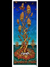 emek x: umphrey's mcgee new years eve 2012 "organs"